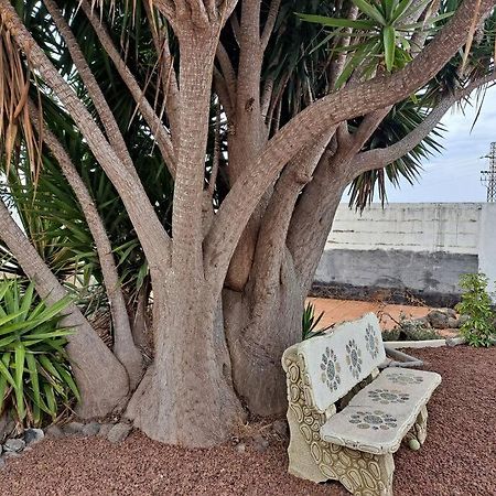 Tenerife Apartment Dulcynea With Terrace And Garden 600M2 With Ocean And Teide View Icod De Los Vinos Buitenkant foto