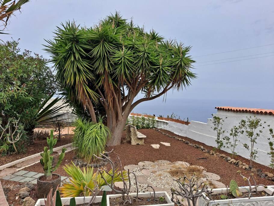 Tenerife Apartment Dulcynea With Terrace And Garden 600M2 With Ocean And Teide View Icod De Los Vinos Buitenkant foto