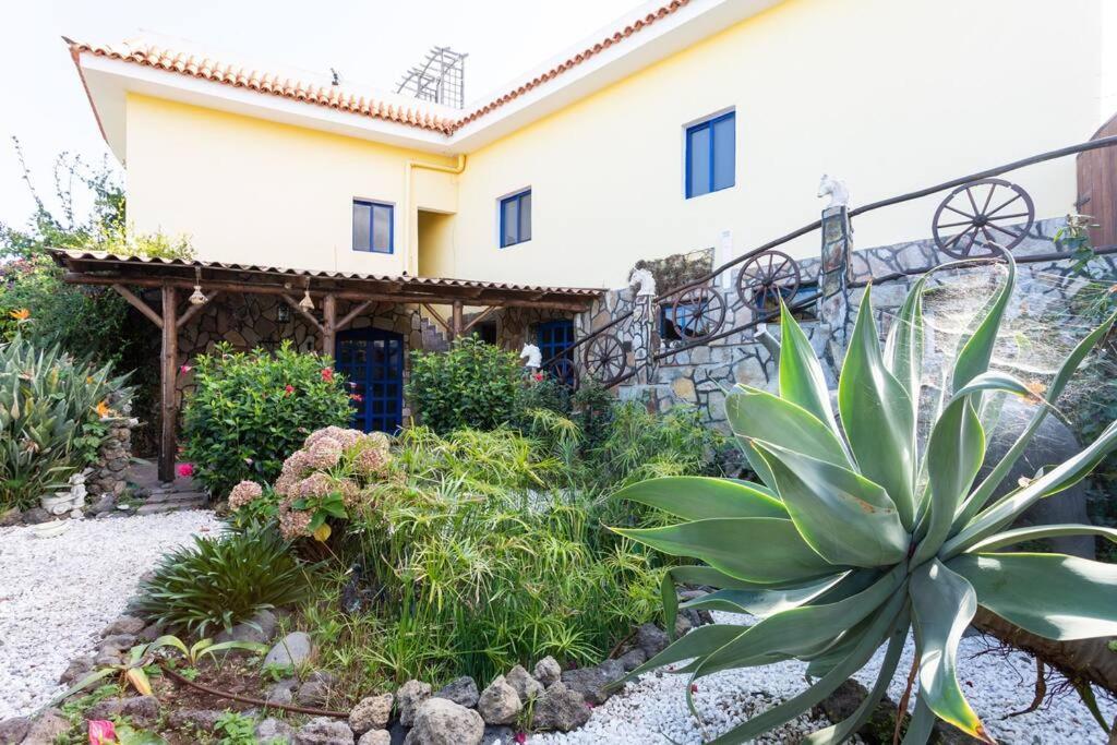 Tenerife Apartment Dulcynea With Terrace And Garden 600M2 With Ocean And Teide View Icod De Los Vinos Buitenkant foto