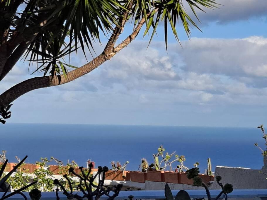 Tenerife Apartment Dulcynea With Terrace And Garden 600M2 With Ocean And Teide View Icod De Los Vinos Buitenkant foto